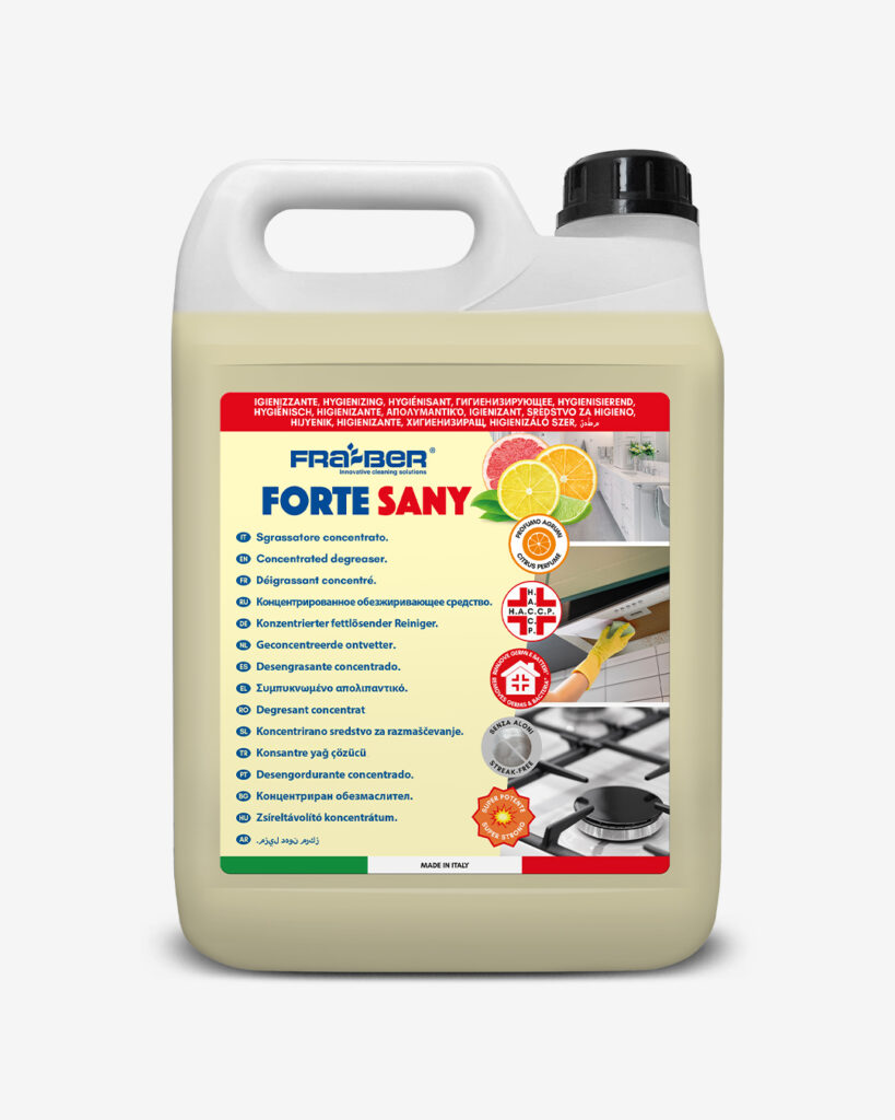 Forte Sany